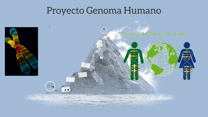 Proyecto Genoma Humano By Salvador Scalisi 9294