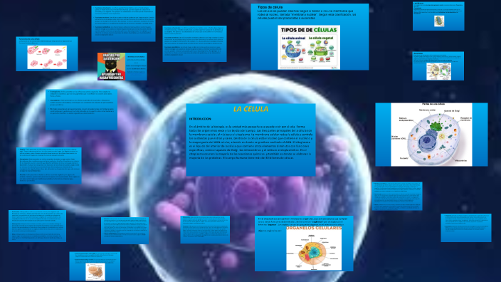 LA CELULA by Samuel Santiago Ruiz Vasquez on Prezi