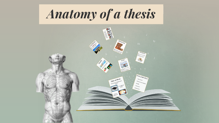 thesis definition anatomy