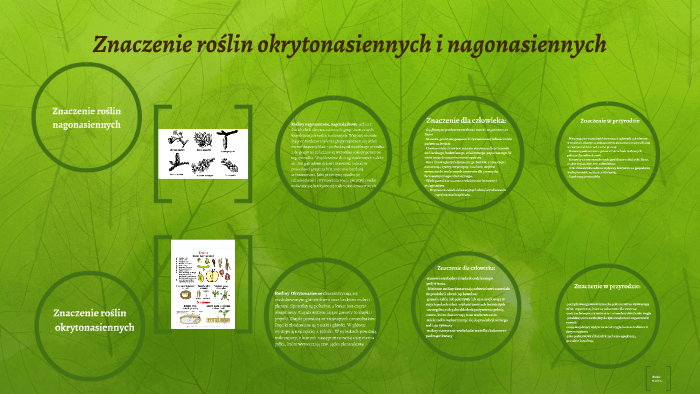 Znaczenie roślin okrytonasiennych i nagonasiennych by Magda Gajdzica on