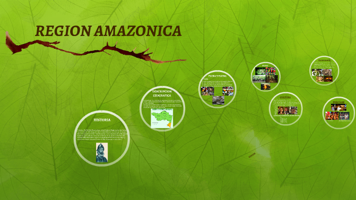 REGION AMAZONICA by on Prezi