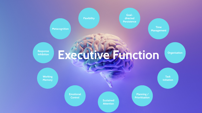 Executive Function - Key definitions and observations by Rhys Mawson on ...