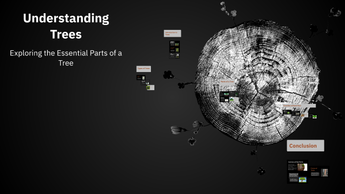 Understanding Trees by Kayla Hollinsworth on Prezi