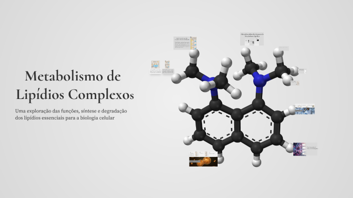 Metabolismo de Lipídios Complexos by Vitor Hilberth on Prezi