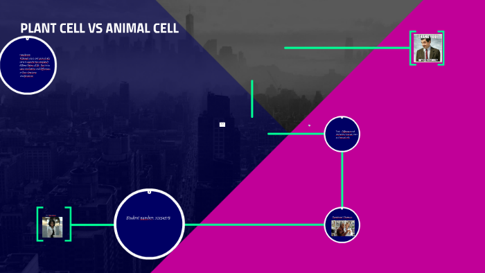 PLANT CELL VS ANIMAL CELL by Stacey Chikerema on Prezi