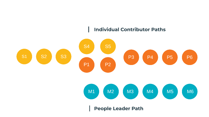RADFORD LEVELS By Anna Marburger On Prezi radford-levels-by-anna-marburger-on-prezi