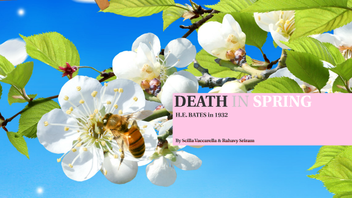 Death In Spring DEATH IN SPRING by Rahavy Sriram on Prezi