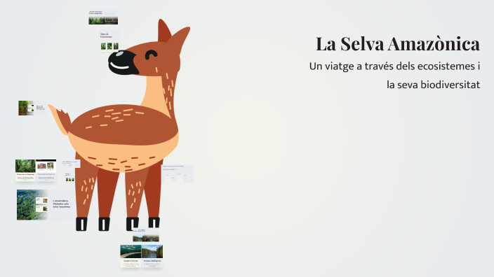 La Selva Amazònica by Margalida Monserrat Nicolau on Prezi
