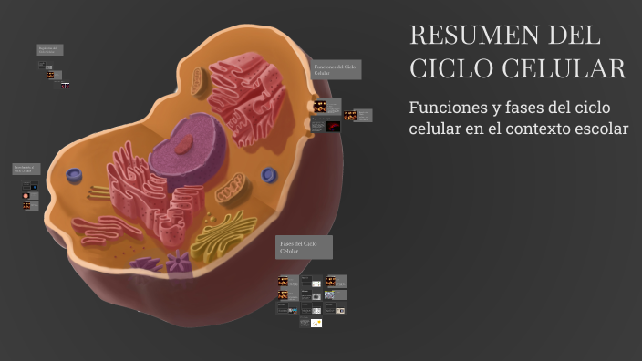 RESUMEN DEL CICLO CELULAR by Material Didáctico MR on Prezi