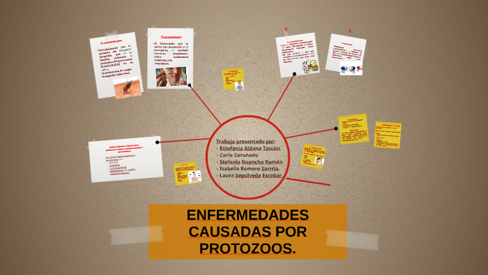 2 enfermedades producidas por protozoarios