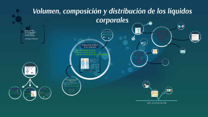 Volumen, composición y distribución de los líquidos corporal by Vanessa