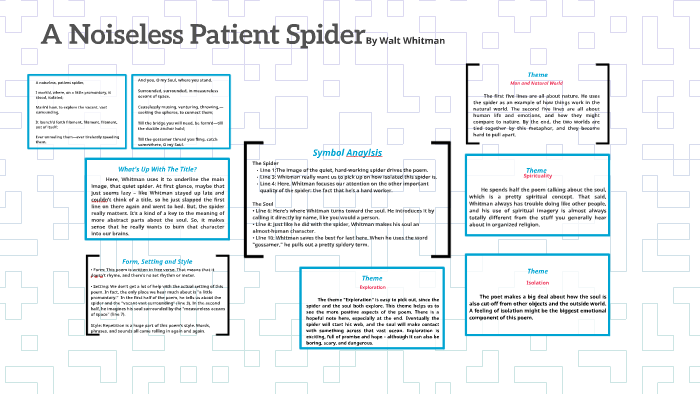 the noiseless patient spider analysis