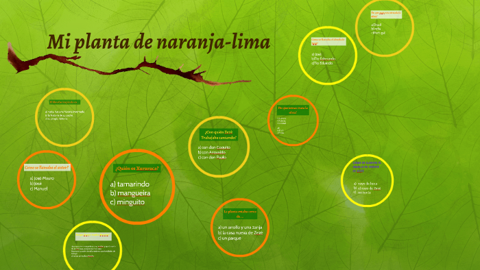 Mi Planta De Naranja Lima Resumen