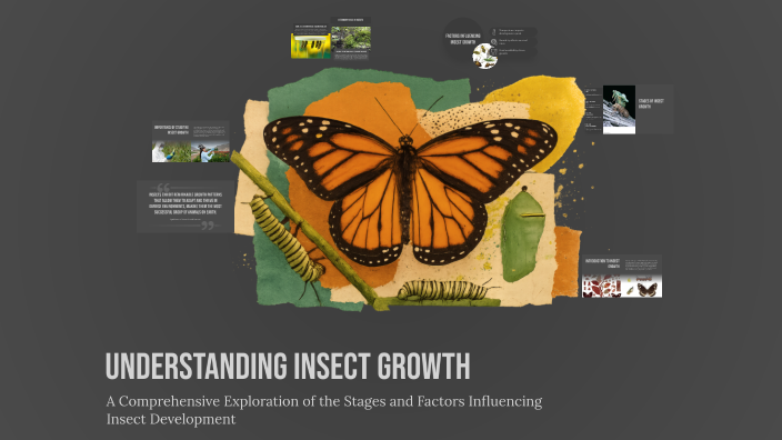 Fast Growth Insect Understanding Insect Growth by Vilog Niño on Prezi