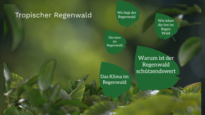 Tropischer Regenwald by LSG Kamille on Prezi