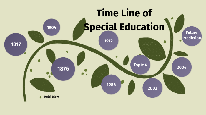 Special Education Timeline By Kelsi Blew On Prezi