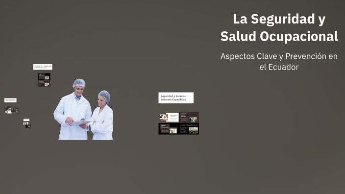 La Seguridad y Salud Ocupacional by Hernan Almeida on Prezi