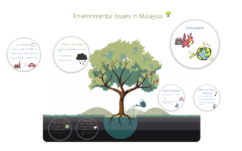 environmental issues in malaysia essay