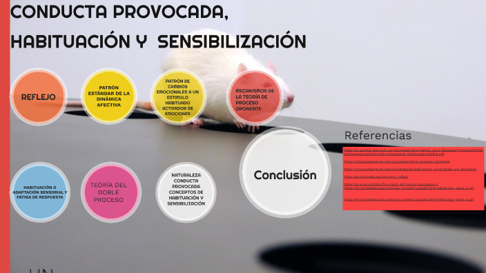 mapa mental by Keisy salazar on Prezi