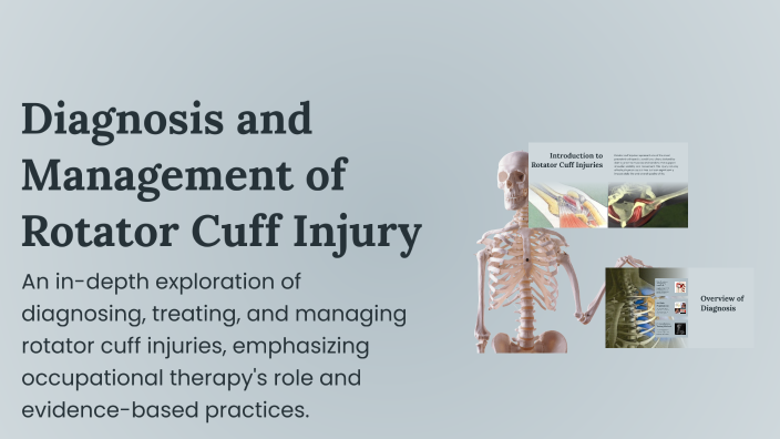 Diagnosis and Management of Rotator Cuff Injury by Lyndsey Lucas on Prezi