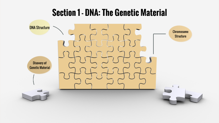 Biology Chapter 12 - Lesson 1 by Caitlin Johnson on Prezi