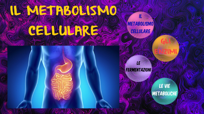 Il Metabolismo Cellulare By Simone Burato On Prezi Next