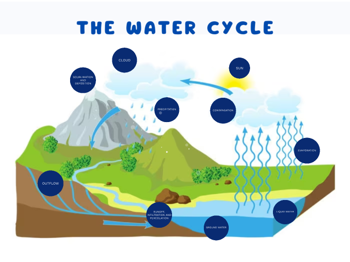 water cycle prezi presentation