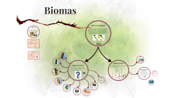Biomas by Angelica Huerta on Prezi