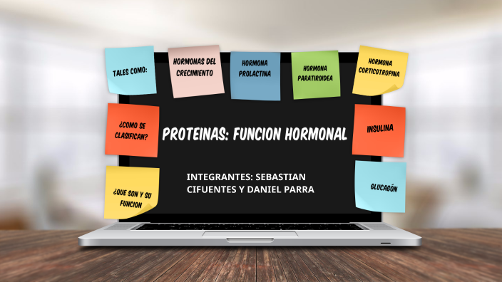 Proteina FUNCION HORMONAL by Sebastian Cifuentes Mendieta