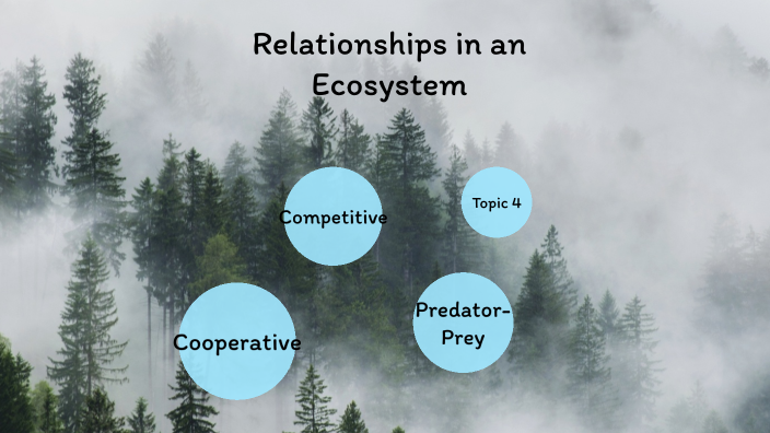 More Relationships In An Ecosystem By Kait Spataro On Prezi   Iueogjblelgs7jtzp3wxo4kuex6jc3sachvcdoaizecfr3dnitcq 3 0 