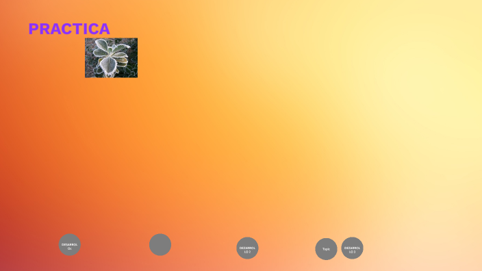 PRACTICA by elida Mendoza B on Prezi