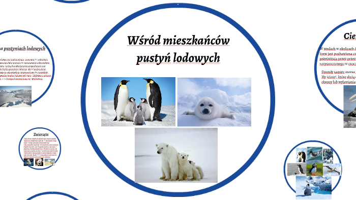 W r d Mieszka c w Pusty Lodowych By Weronika Weronika On Prezi w-r-d-mieszka-c-w-pusty-lodowych-by-weronika-weronika-on-prezi