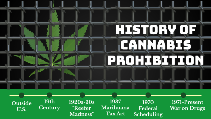 History Of Cannabis Prohibition By Julian Rauter On Prezi