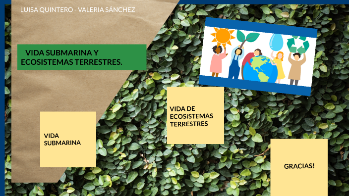 vida submarina y ecosistemas terrestres by Valeria Sánchez on Prezi
