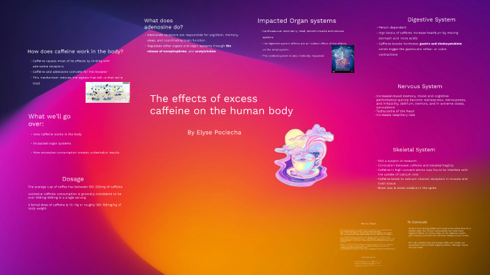 Anatomy Presentation by Elyse Pociecha on Prezi
