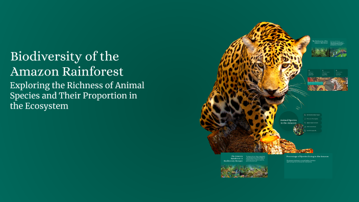 Biodiversity of the Amazon Rainforest by Iranzi Ian on Prezi