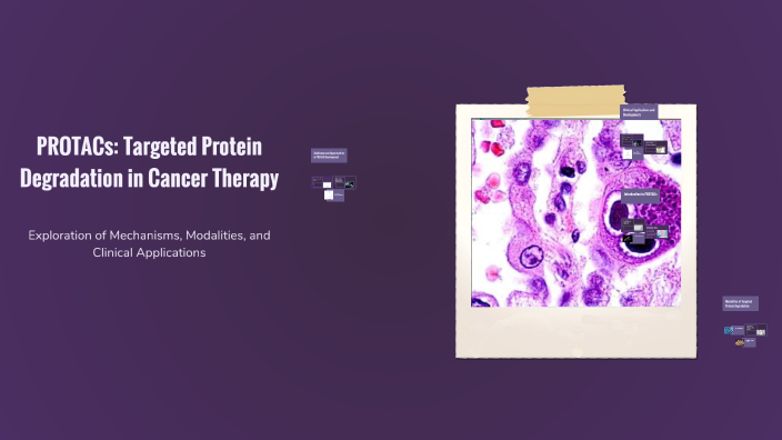 PROTACs: Targeted Protein Degradation in Cancer Therapy by Alissa ...