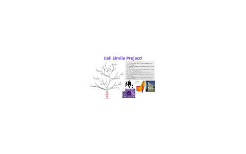 Cell Simile by Sue Park on Prezi