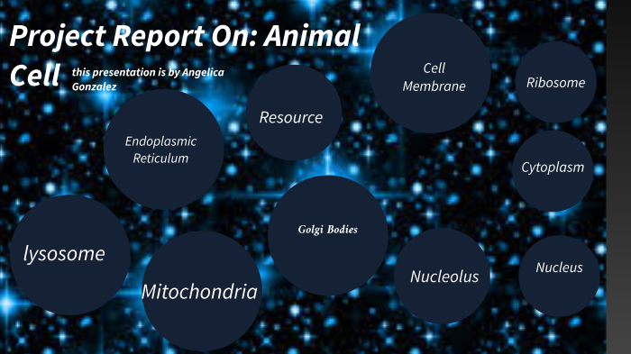 Animal Cell by Angelica Gonzalez on Prezi