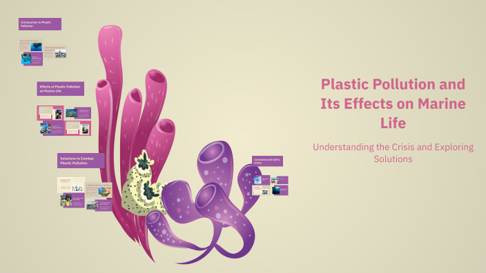Plastic Pollution And Its Effects On Marine Life By Ipek Karacal On Prezi