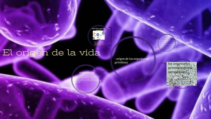 el origen de la vida by cecilia moreno on Prezi