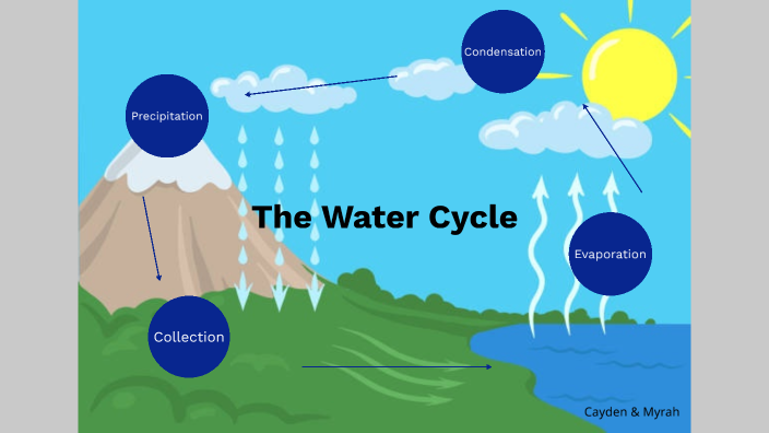 water cycle prezi presentation