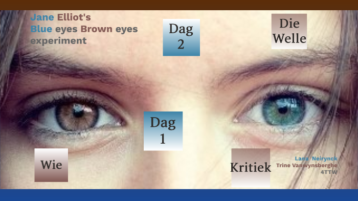 blue eyes brown eyes experiment wikipedia