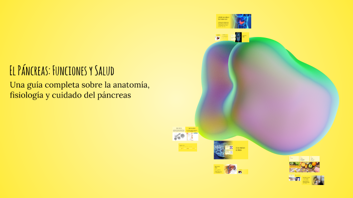 El Páncreas: Funciones y Salud by Karime Pacheco Molina on Prezi