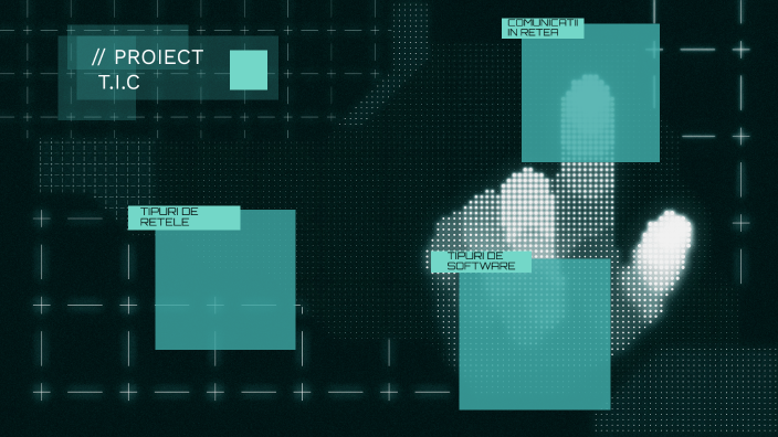 TIC by Florentina Dobrin on Prezi