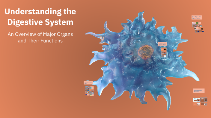 Understanding the Digestive System by Mykayla on Prezi