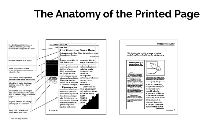 anatomy of a printed page by Sue Fries on Prezi