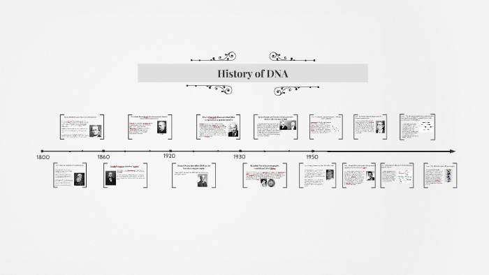 History of DNA by Lauryn Dessauer on Prezi