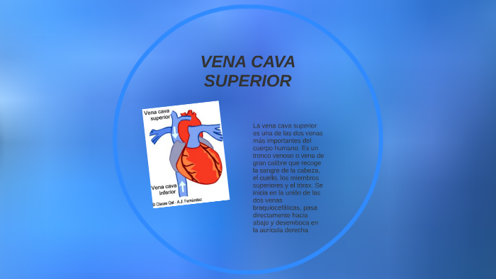 VENA CAVA SUPERIOR by DOLY YAZMIN CELIS MUÑOZ on Prezi