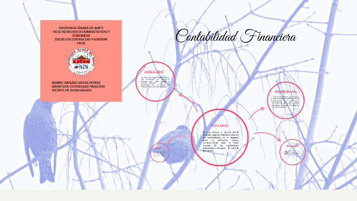 contabilidad financiera by PATRICIA GAVILIMA on Prezi